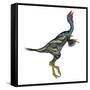 Caudipteryx Dinosaur with Head Up-Stocktrek Images-Framed Stretched Canvas