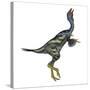 Caudipteryx Dinosaur with Head Up-Stocktrek Images-Stretched Canvas