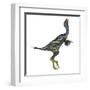 Caudipteryx Dinosaur with Head Up-Stocktrek Images-Framed Art Print