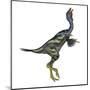 Caudipteryx Dinosaur with Head Up-Stocktrek Images-Mounted Art Print