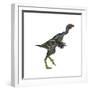 Caudipteryx Dinosaur-Stocktrek Images-Framed Premium Giclee Print