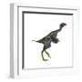 Caudipteryx Dinosaur-Stocktrek Images-Framed Art Print