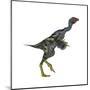 Caudipteryx Dinosaur-Stocktrek Images-Mounted Art Print