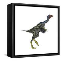 Caudipteryx Dinosaur-Stocktrek Images-Framed Stretched Canvas