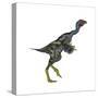 Caudipteryx Dinosaur-Stocktrek Images-Stretched Canvas