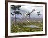 Caudipteryx Dinosaur-null-Framed Art Print