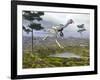 Caudipteryx Dinosaur-null-Framed Art Print