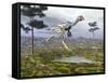 Caudipteryx Dinosaur-null-Framed Stretched Canvas