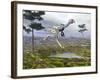 Caudipteryx Dinosaur-null-Framed Art Print