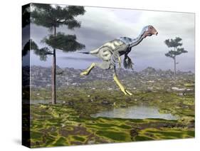 Caudipteryx Dinosaur-null-Stretched Canvas
