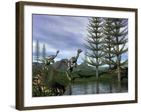Caudipteryx Dinosaurs at the Water's Edge Next to Tempskya Trees-Stocktrek Images-Framed Art Print