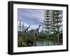 Caudipteryx Dinosaurs at the Water's Edge Next to Tempskya Trees-Stocktrek Images-Framed Art Print