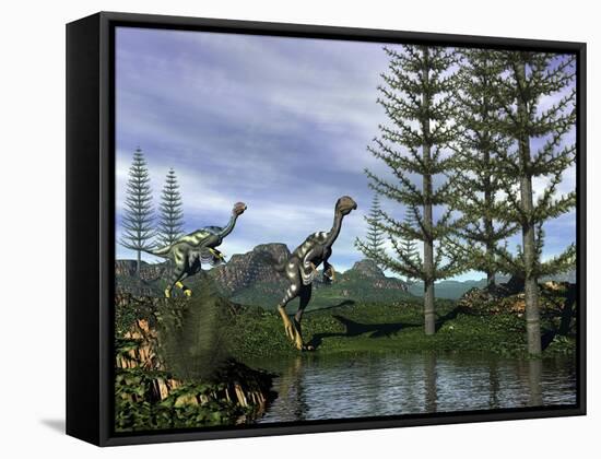 Caudipteryx Dinosaurs at the Water's Edge Next to Tempskya Trees-Stocktrek Images-Framed Stretched Canvas