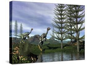 Caudipteryx Dinosaurs at the Water's Edge Next to Tempskya Trees-Stocktrek Images-Stretched Canvas