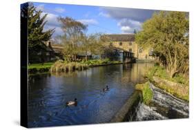 Caudwell's Mill, Mill Cottages and Mallard Ducks in Spring, a Listed Historic Roller Flour Mill-Eleanor Scriven-Stretched Canvas