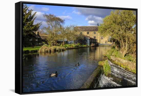 Caudwell's Mill, Mill Cottages and Mallard Ducks in Spring, a Listed Historic Roller Flour Mill-Eleanor Scriven-Framed Stretched Canvas