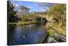 Caudwell's Mill, Mill Cottages and Mallard Ducks in Spring, a Listed Historic Roller Flour Mill-Eleanor Scriven-Stretched Canvas