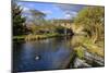 Caudwell's Mill, Mill Cottages and Mallard Ducks in Spring, a Listed Historic Roller Flour Mill-Eleanor Scriven-Mounted Photographic Print
