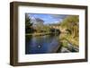 Caudwell's Mill, Mill Cottages and Mallard Ducks in Spring, a Listed Historic Roller Flour Mill-Eleanor Scriven-Framed Photographic Print