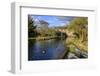 Caudwell's Mill, Mill Cottages and Mallard Ducks in Spring, a Listed Historic Roller Flour Mill-Eleanor Scriven-Framed Photographic Print