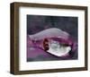 Caught in a Droplet-null-Framed Art Print