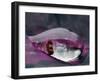 Caught in a droplet-Jimmy Hoffman-Framed Photographic Print