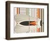 Caught in Flying Stripes-Belen Mena-Framed Giclee Print