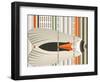 Caught in Flying Stripes-Belen Mena-Framed Giclee Print