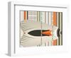 Caught in Flying Stripes-Belen Mena-Framed Giclee Print