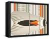 Caught in Flying Stripes-Belen Mena-Framed Stretched Canvas