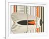 Caught in Flying Stripes-Belen Mena-Framed Giclee Print