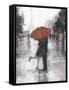 Caught in the Rain-Ethan Harper-Framed Stretched Canvas