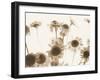 Caught On The Breeze I-Katja Marzahn-Framed Giclee Print