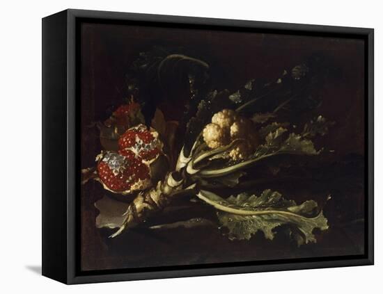 Cauliflower and Pomegranates-Pietro Paolo Bonzi-Framed Stretched Canvas