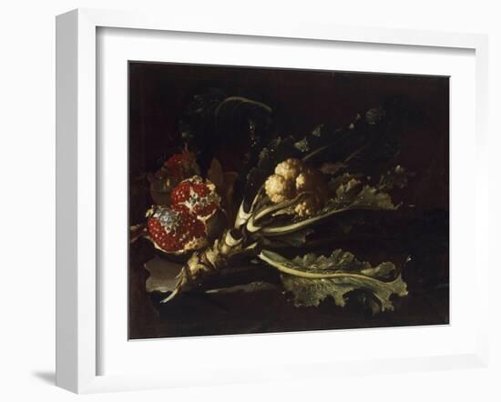 Cauliflower and Pomegranates-Pietro Paolo Bonzi-Framed Giclee Print