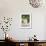 Cauliflower and Savoy Cabbage in Crate-Eising Studio - Food Photo and Video-Framed Photographic Print displayed on a wall