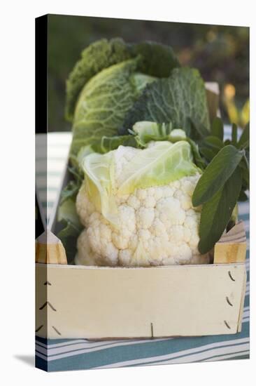 Cauliflower and Savoy Cabbage in Crate-Eising Studio - Food Photo and Video-Stretched Canvas