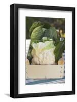 Cauliflower and Savoy Cabbage in Crate-Eising Studio - Food Photo and Video-Framed Photographic Print