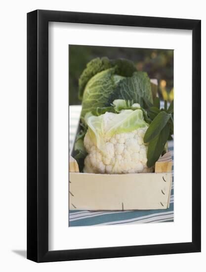 Cauliflower and Savoy Cabbage in Crate-Eising Studio - Food Photo and Video-Framed Photographic Print