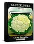 Cauliflower Seed Packet-Lantern Press-Framed Stretched Canvas