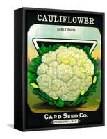 Cauliflower Seed Packet-Lantern Press-Framed Stretched Canvas