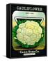 Cauliflower Seed Packet-Lantern Press-Framed Stretched Canvas