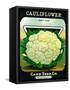 Cauliflower Seed Packet-Lantern Press-Framed Stretched Canvas