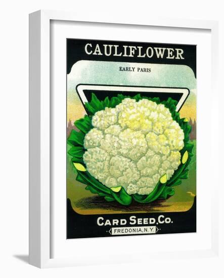 Cauliflower Seed Packet-Lantern Press-Framed Art Print