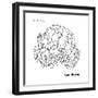 Cauliflower-Olga And Alexey Drozdov-Framed Premium Giclee Print