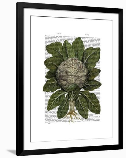 Cauliflower-Fab Funky-Framed Art Print