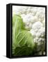 Cauliflower-Foodcollection-Framed Stretched Canvas