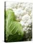 Cauliflower-Foodcollection-Stretched Canvas