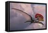 Caupedactylus Ybaka, an Extinct Pterosaur from the Cretaceous Period-null-Framed Stretched Canvas