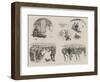 Cause and Effect, the Penalties of Sports-William Ralston-Framed Giclee Print